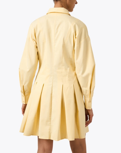 finley-yellow-pleated-shirt-dress_back.jpeg